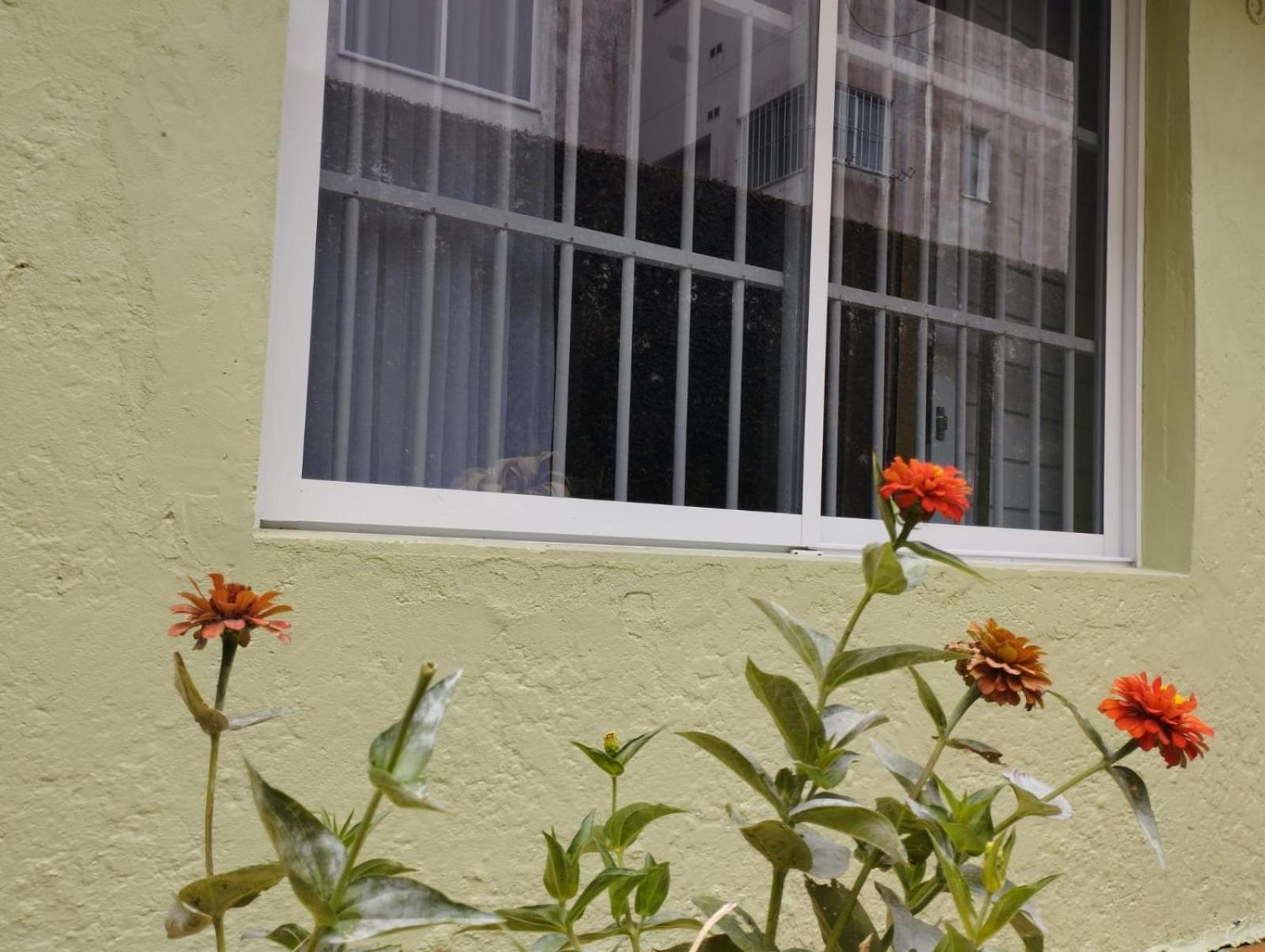 Charmoso Apto Com Clima De Casa Em Canasvieiras Florianópolis Exterior foto